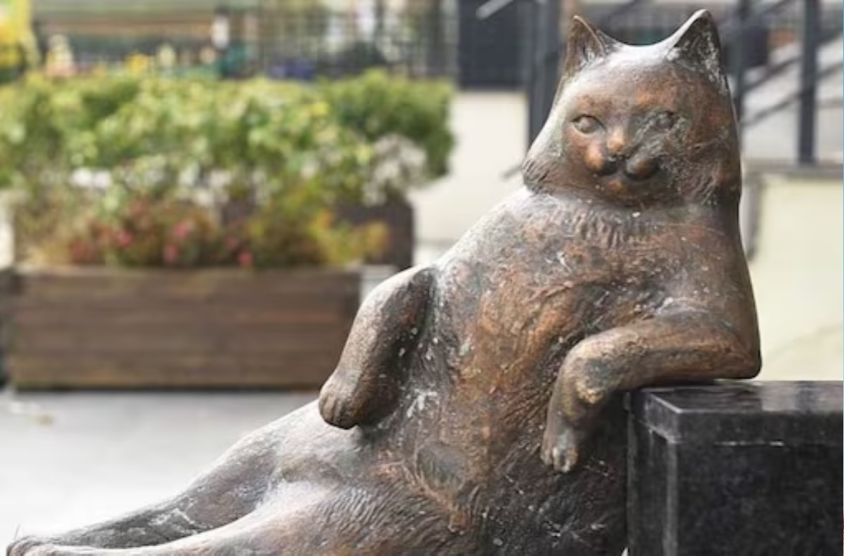 Cat’s statue built in Istanbul after it died, Here is why