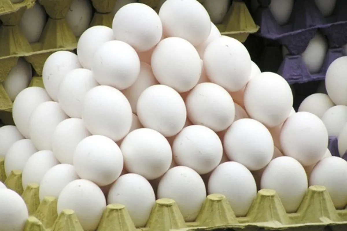 Egg Seller Beaten To Death Over A Petty Argument; Read To Know All About It