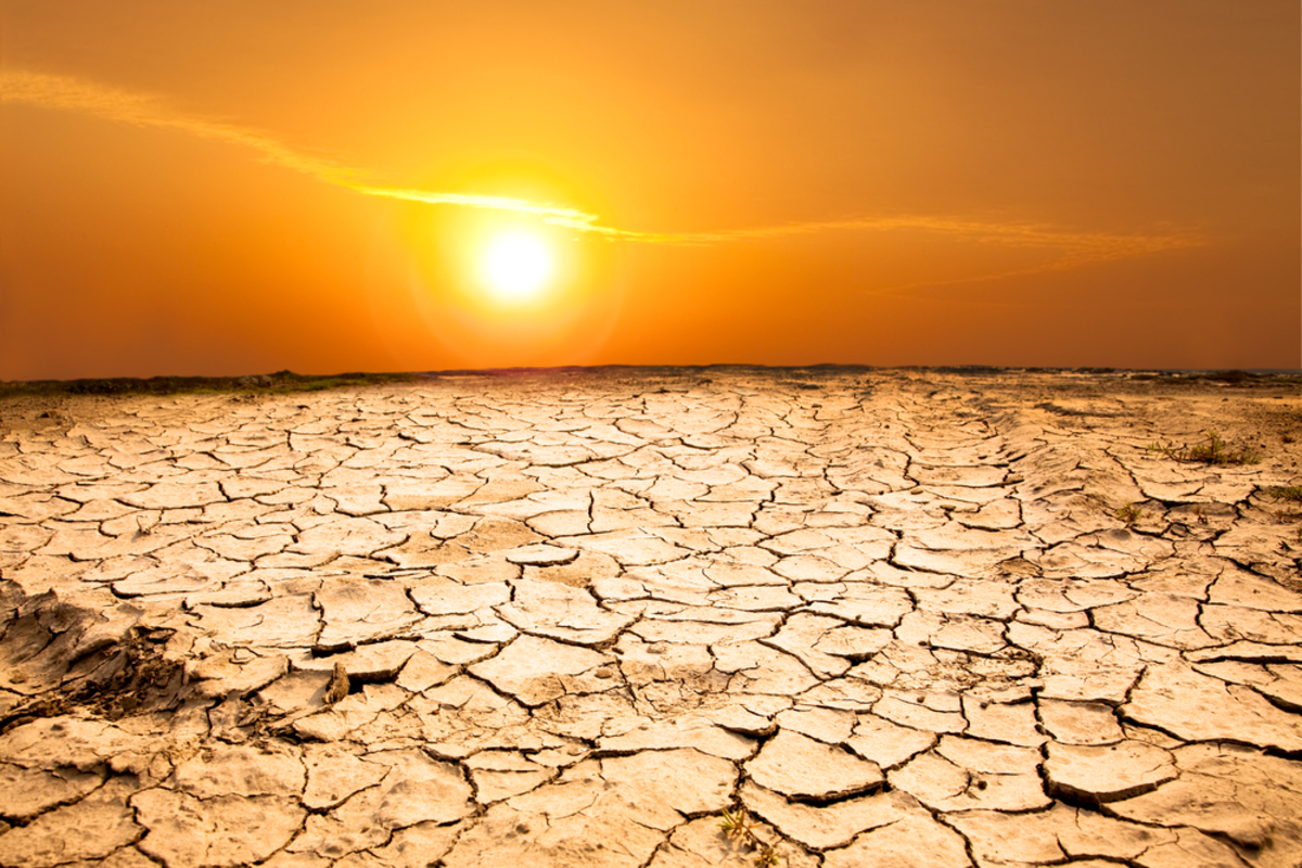 UN Warns 2024 Could Be Hotter Than Record-Shattering 2023