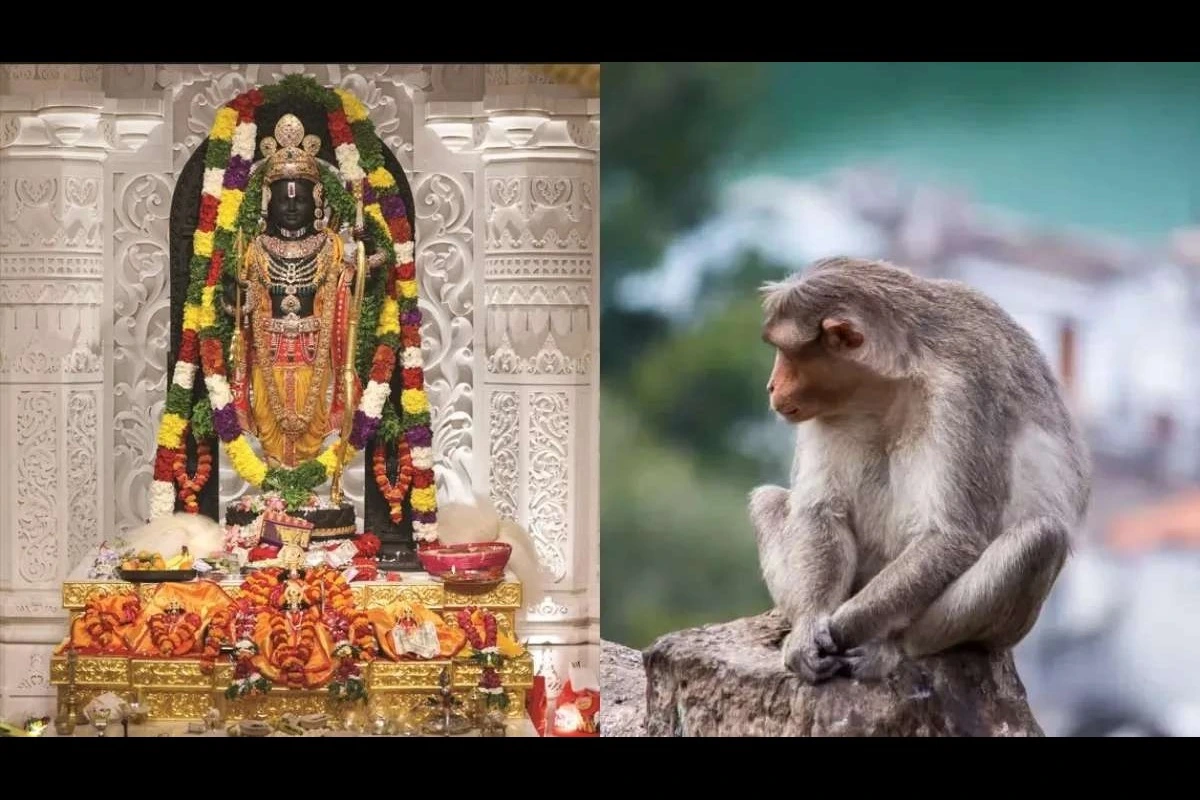 ‘Lord Hanuman Visited Ram Mandir For Ram Lalla’s Darshan’: Shri Ram Janmbhoomi Teerth Kshetra Trust