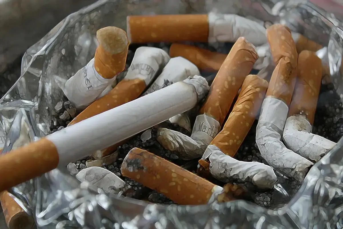 New Zealand Plans To Repeal World’s First Law Prohibiting Tobacco Sales