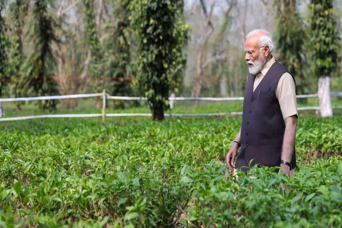 PM Modi Delights in Visit to ‘Splendid’ Tea Gardens, Highlights Global Popularity of Assam Tea