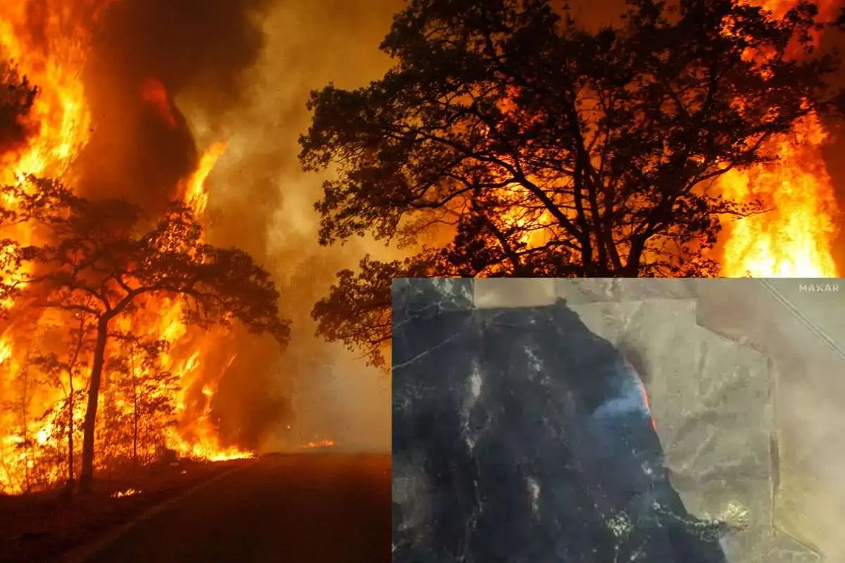 Texas Wildfire Spread Across 1.1 Million Acres, Visible From Space