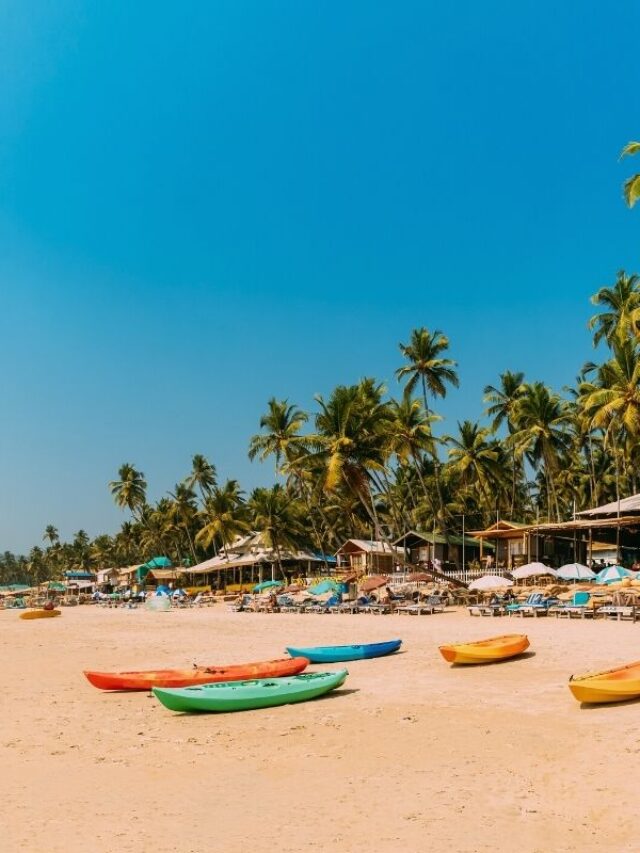 7 Activities You Can Do In Goa - Bharat Express