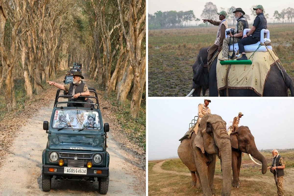 PM Modi’s Safari in Kaziranga: Invites Global Visitors to Experience the Wildlife Wonderland
