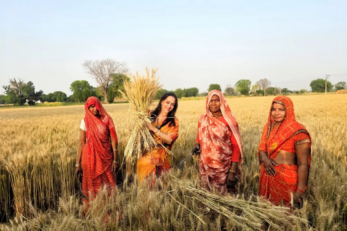 LS Polls: Hema Malini Visits Mathura Wheat Fields, Meets Farmers