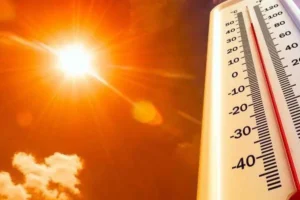 IMD Issues Heat Wave Alert In 3 Districts Of Kerala