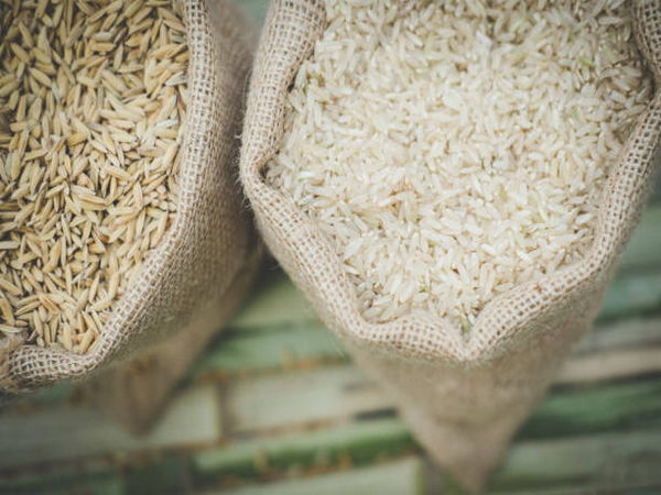 India’s Export Restrictions Propel Global Rice Prices: Asian Exporters Brace For Bulog Tender Surge