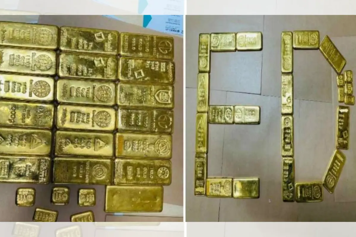 Enforcement Directorate Seizes Rs 14.04 Crore Worth Of Gold From Cyber Fraudster’s Locker