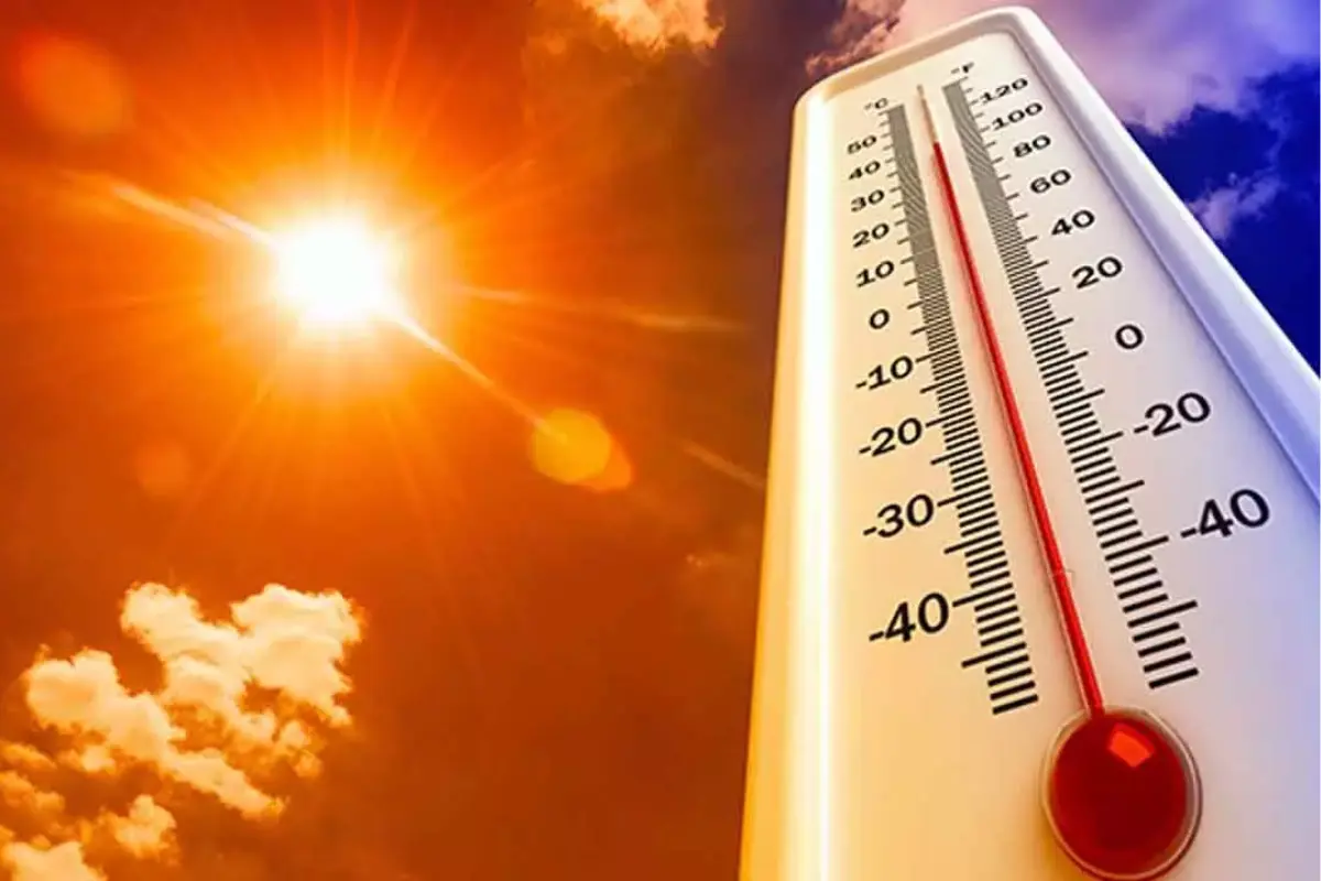 Consumer Disputes Court Adjourns Hearing Amid Scorching Heatwave