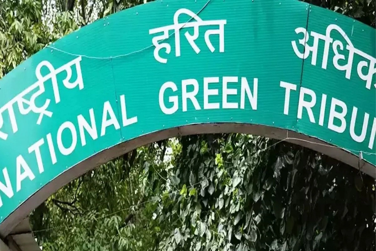 Delhi High Court Halts Unauthorized Tree Cutting and Waste Dumping in Ridge Area; Calls for Urgent Action to Preserve Green Heritage