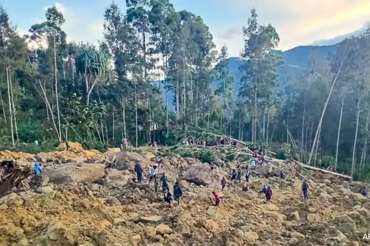 India Extends Support Of 1 Million Dollar To Papua New Guinea, State Was Hit By Landslide