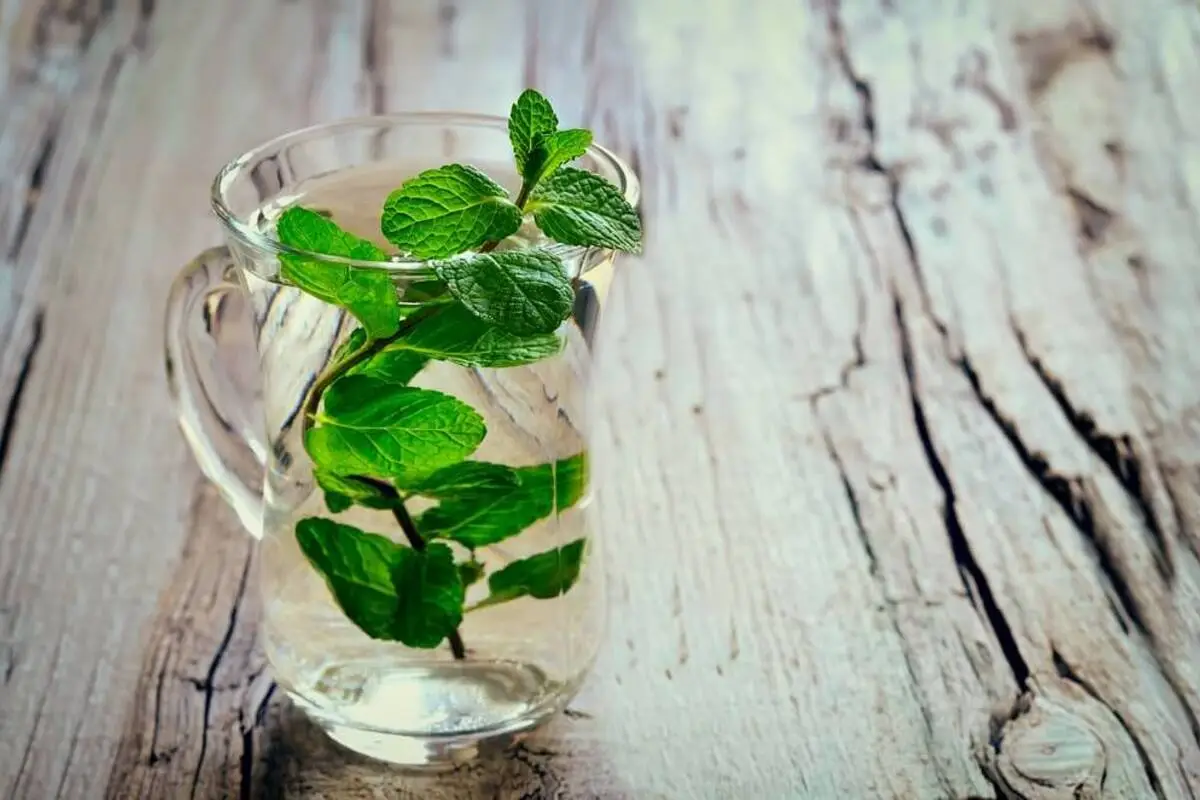 Feeling Tired This Summer? Try Mint Water To Stay Hydrated and Relaxed!