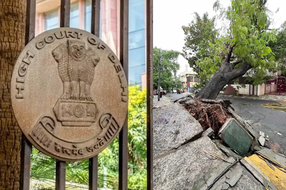 Delhi High Court Issues Contempt Notice To Forest Official Over Tree Felling At JNU Campus