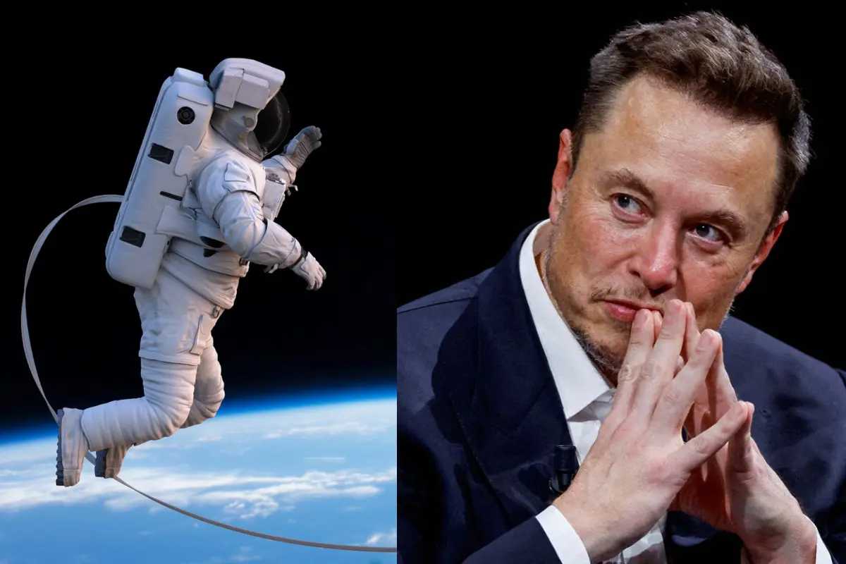 SpaceX CEO Elon Musk Unveils Vision Of Space Travel To Moon & Mars For All