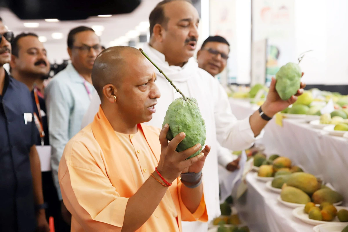 Uttar Pradesh To Export 40 Tonnes Of Mangoes To Japan, Malaysia, And The US