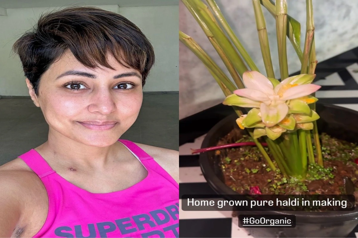 Actress Hina Khan Advocates For Organic Living Amidst Chemotherapy Battle