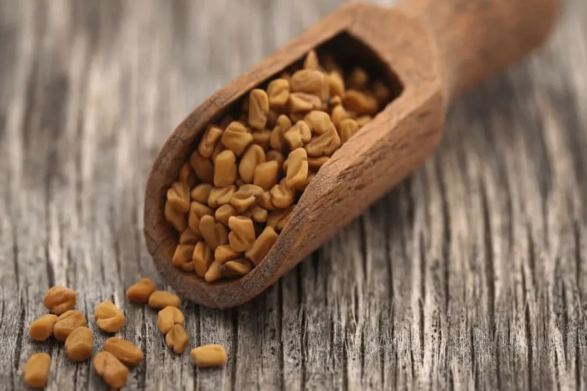 Unlocking The Benefits Of Fenugreek Seeds For Hair Health