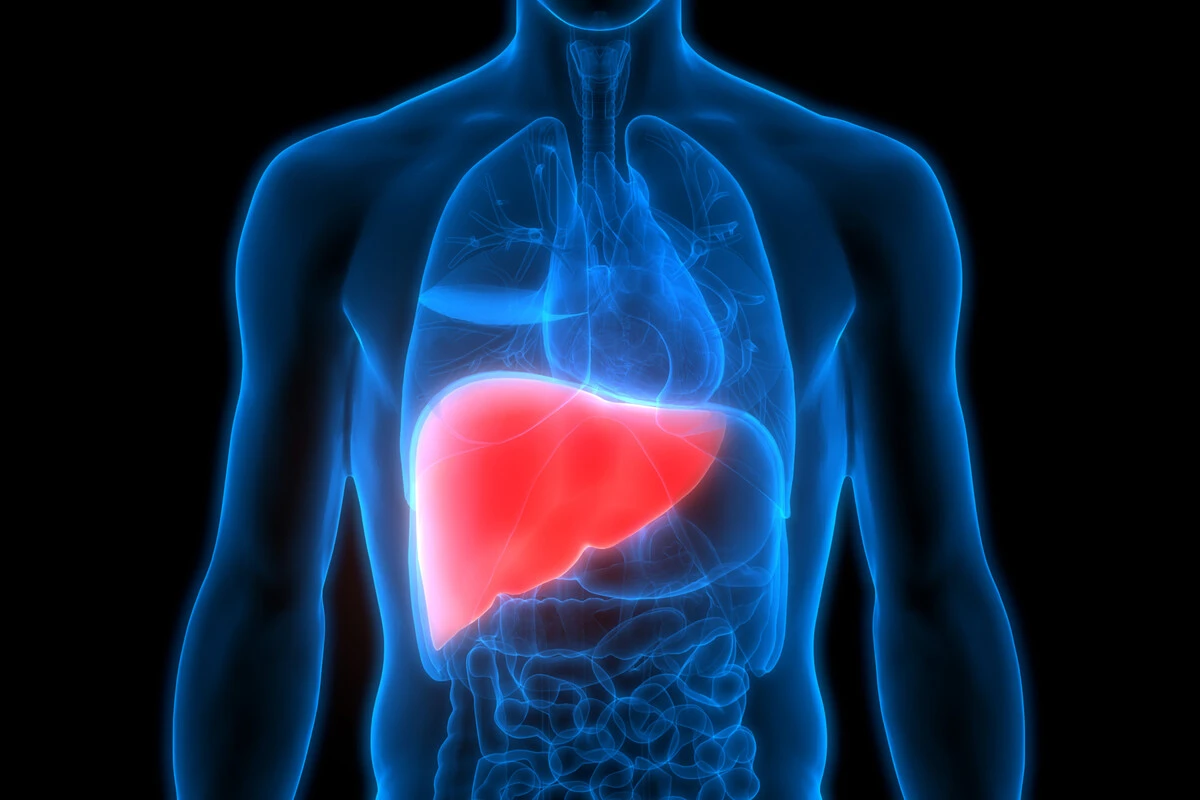 Study Urges New Approach to Combat Liver Fibrosis