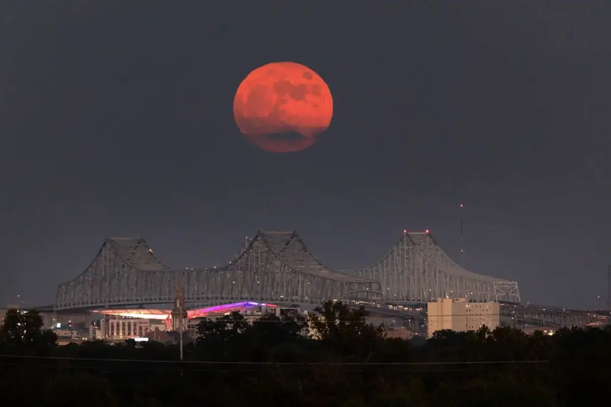 Elon Musk Praises 2024’s First Supermoon As Amazing Celestial Event