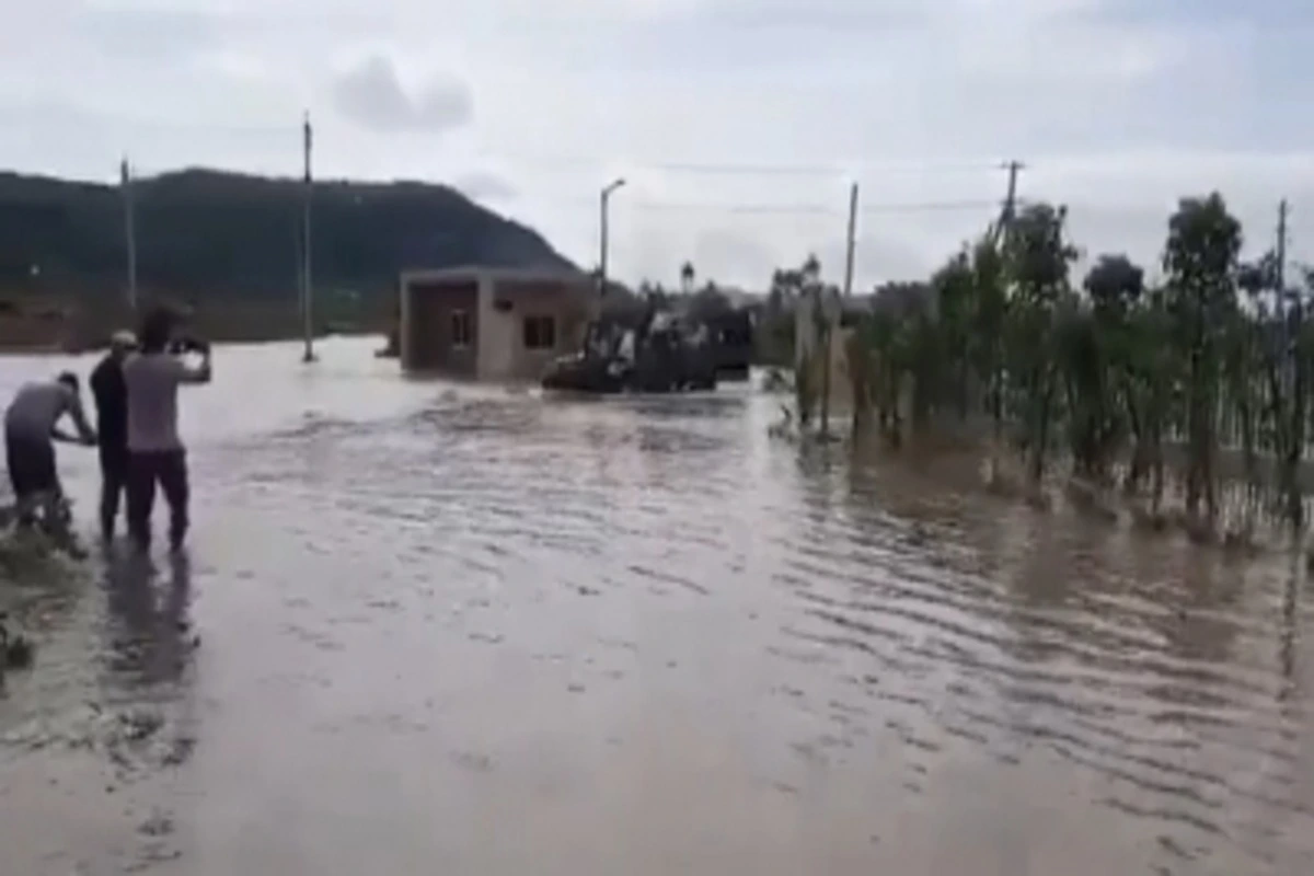 Telangana Districts On High Alert As IMD Issues Heavy Rain Warning