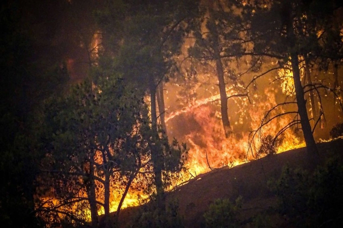 Death Toll From Peru’s Forest Fires Rises To 18