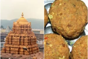 Andhra CM Demands Report From TTD Over Allegations Of Animal Fat In Tirumala Laddu