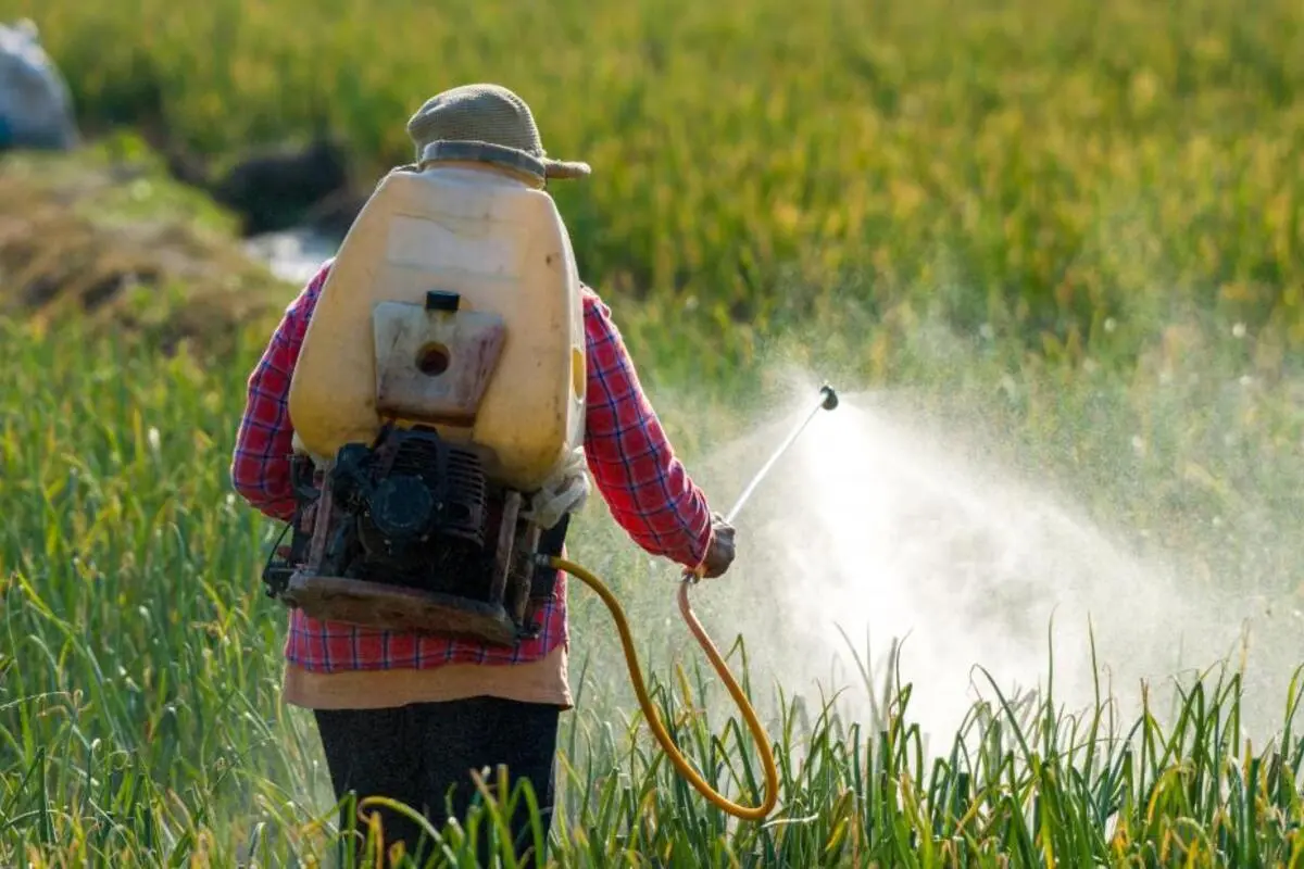 Study Reveals Health Risks of Pesticide Use Among Farmers