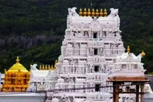 Lab Report Confirms Presence Of Animal Fat In Tirumala Laddu, Claims TDP