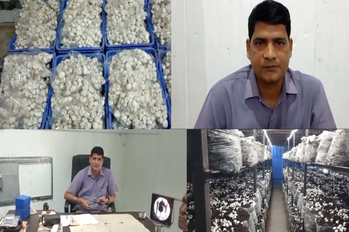 From Humble Beginnings To Mushroom Mogul: The Inspiring Journey Of Shashi Bhushan Tiwari