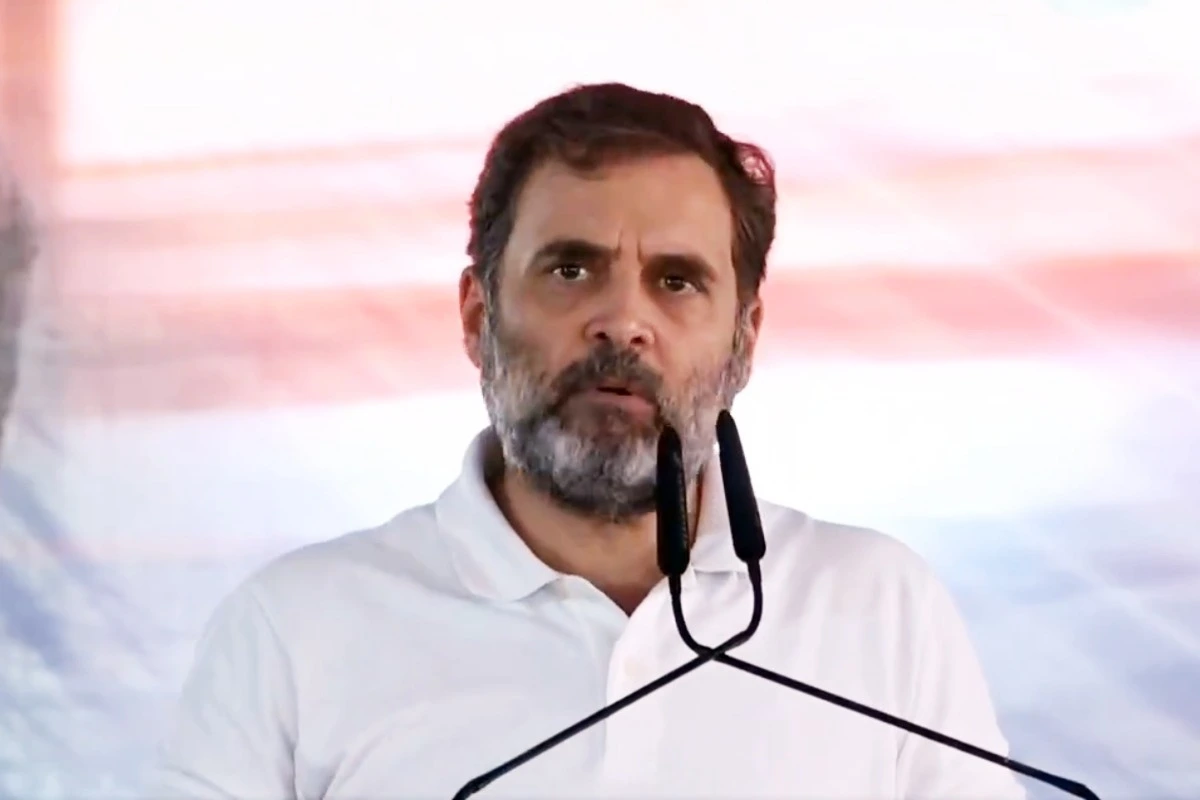 TN BJP Spokesperson Calls For Ban On Rahul Gandhi's Campaign