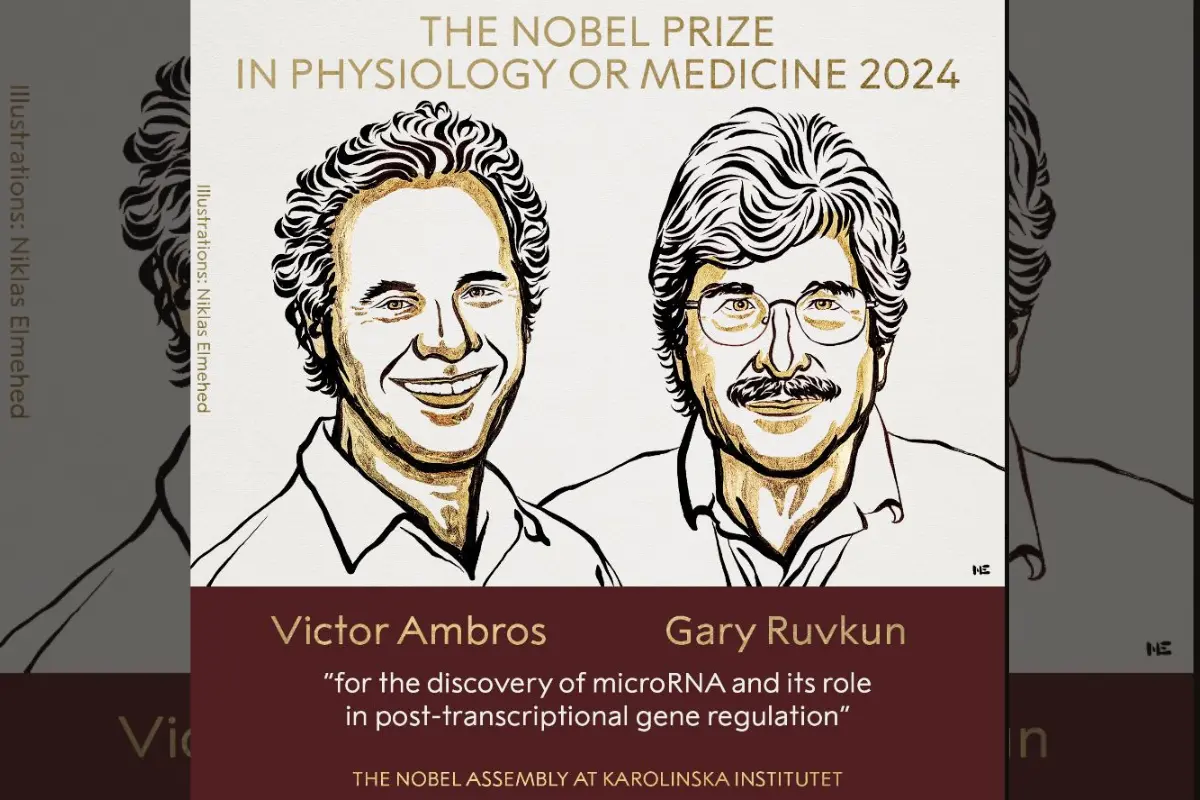 US Scientists Honored With 2024 Nobel Prize In Medicine For MicroRNA Innovation