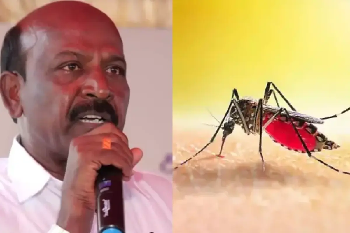 TN Issues Health Warning As Northeast Monsoon Arrives, Malaria And Dengue Risk Surges