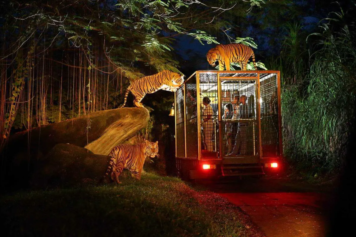 Uttar Pradesh To Unveil India’s First Night Safari In Lucknow By 2026