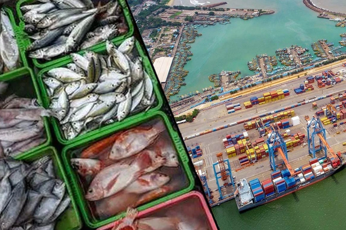 India's Seafood Exports Surge