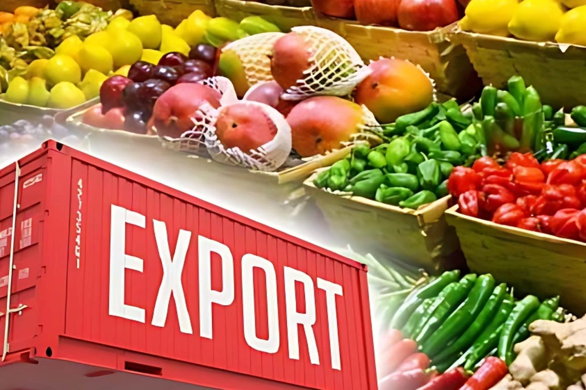 India's Agricultural Exports