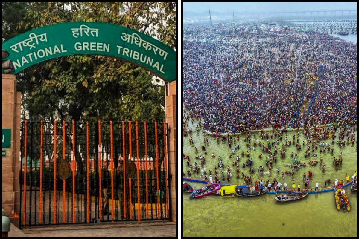 NGT Maha Kumbh