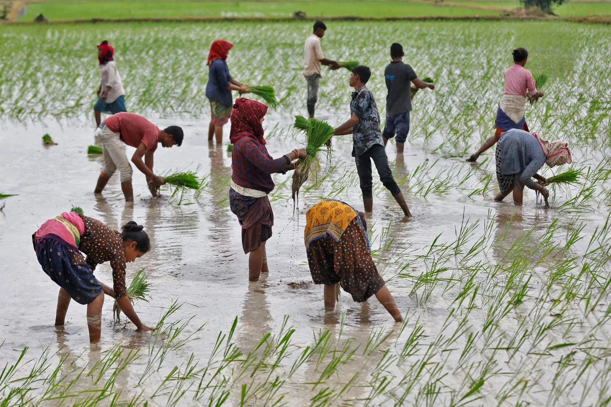 Rural Workers