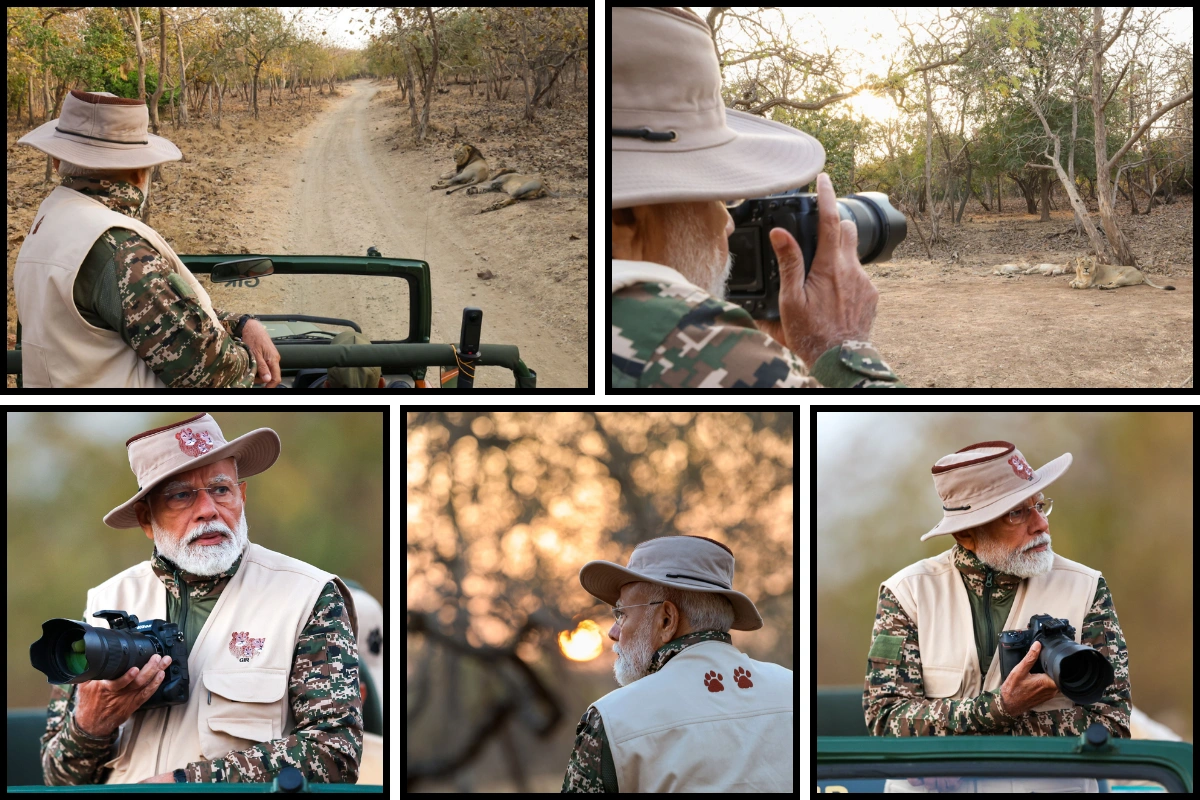 PM Modi Takes Lion Safari In Gir On World Wildlife Day; Highlights Conservation Efforts