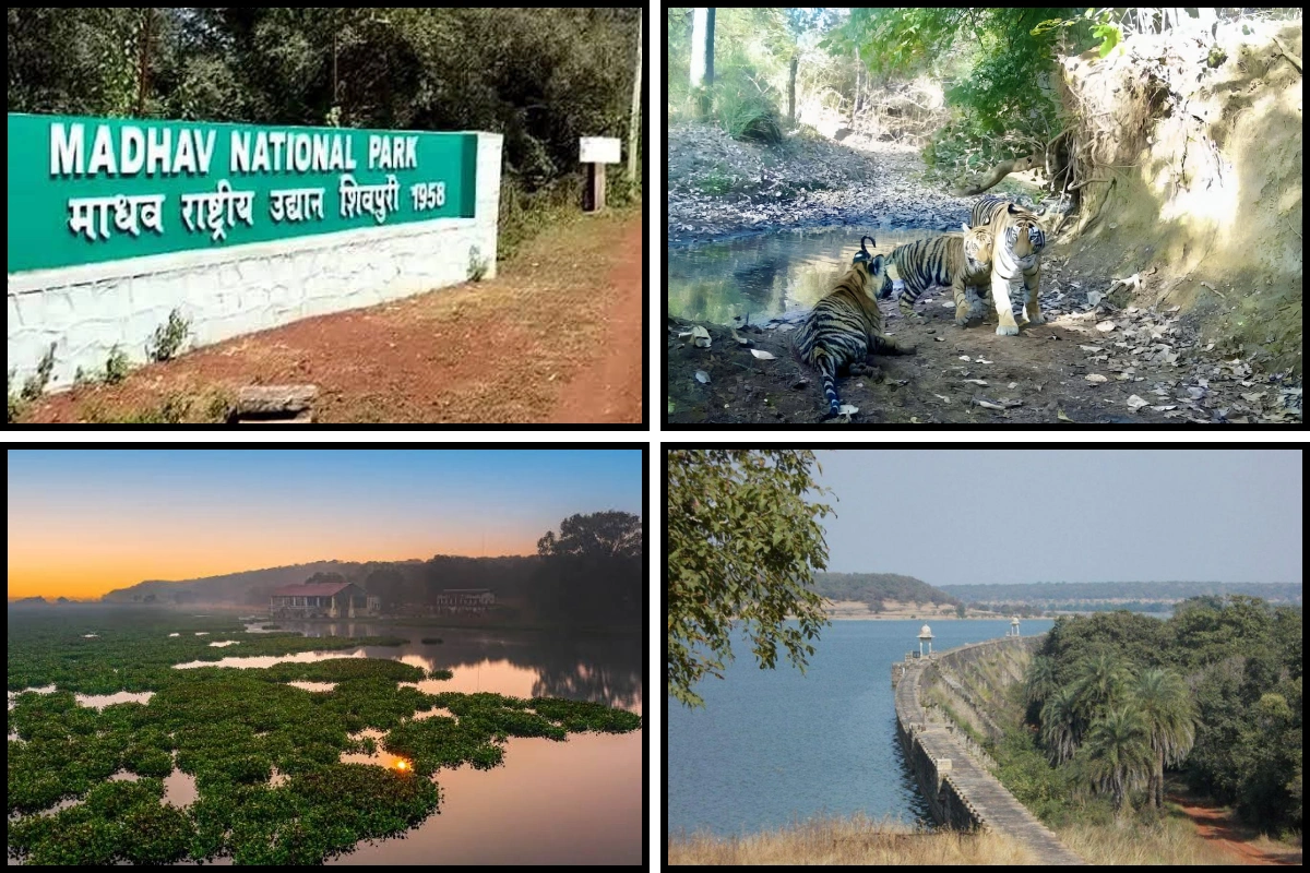 Madhav Tiger Reserve