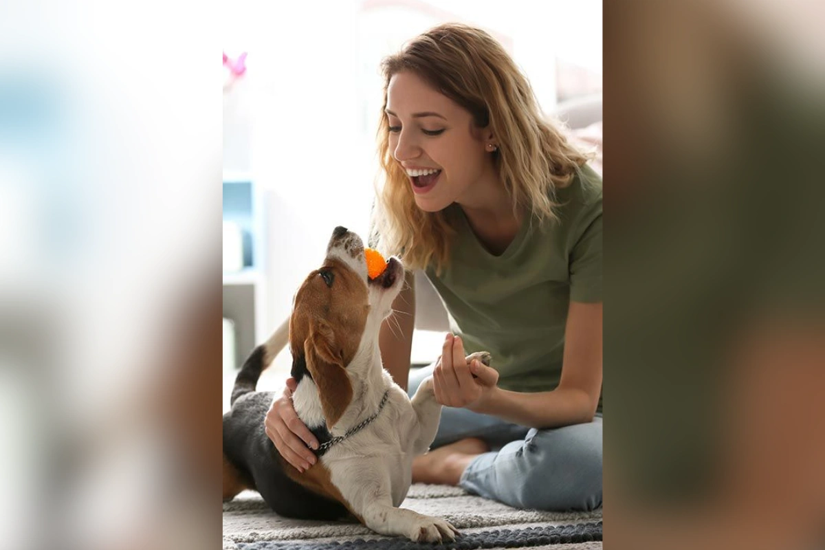 The Emotional Support Of Pets: How They Enhance Mental Health