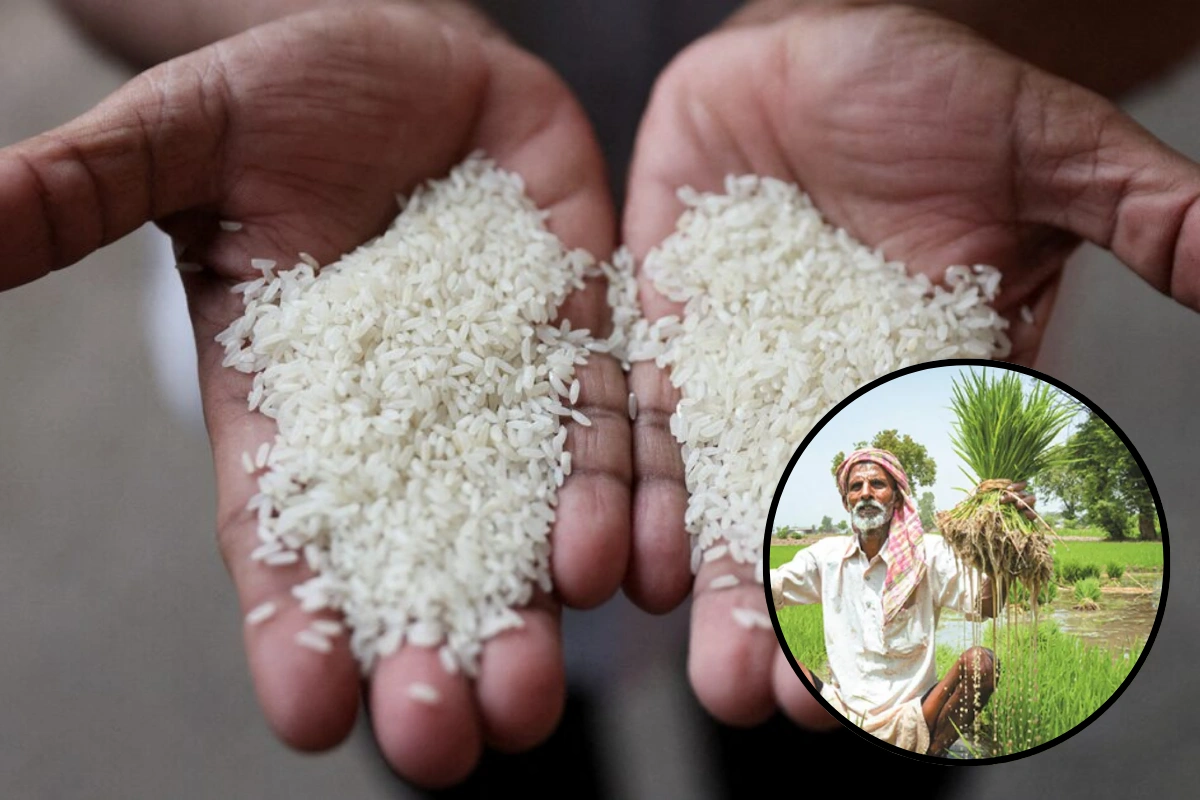 India’s Agricultural Exports Rise 13% In FY25; Led By Rice Shipments