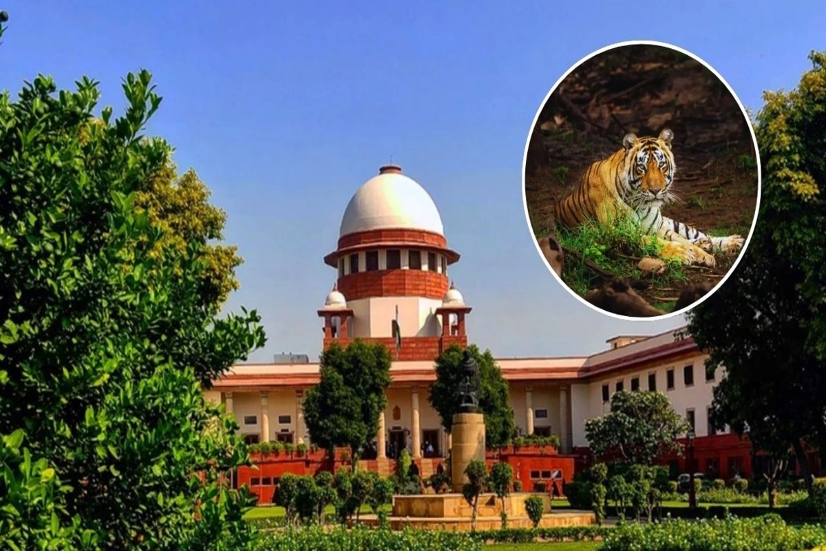 Supreme Court Direct Rajasthan Government Appoint Nodal Officer