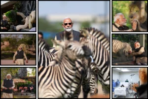 PM Modi Visits Vantara; Engages With Rescued Wildlife In Gujarat