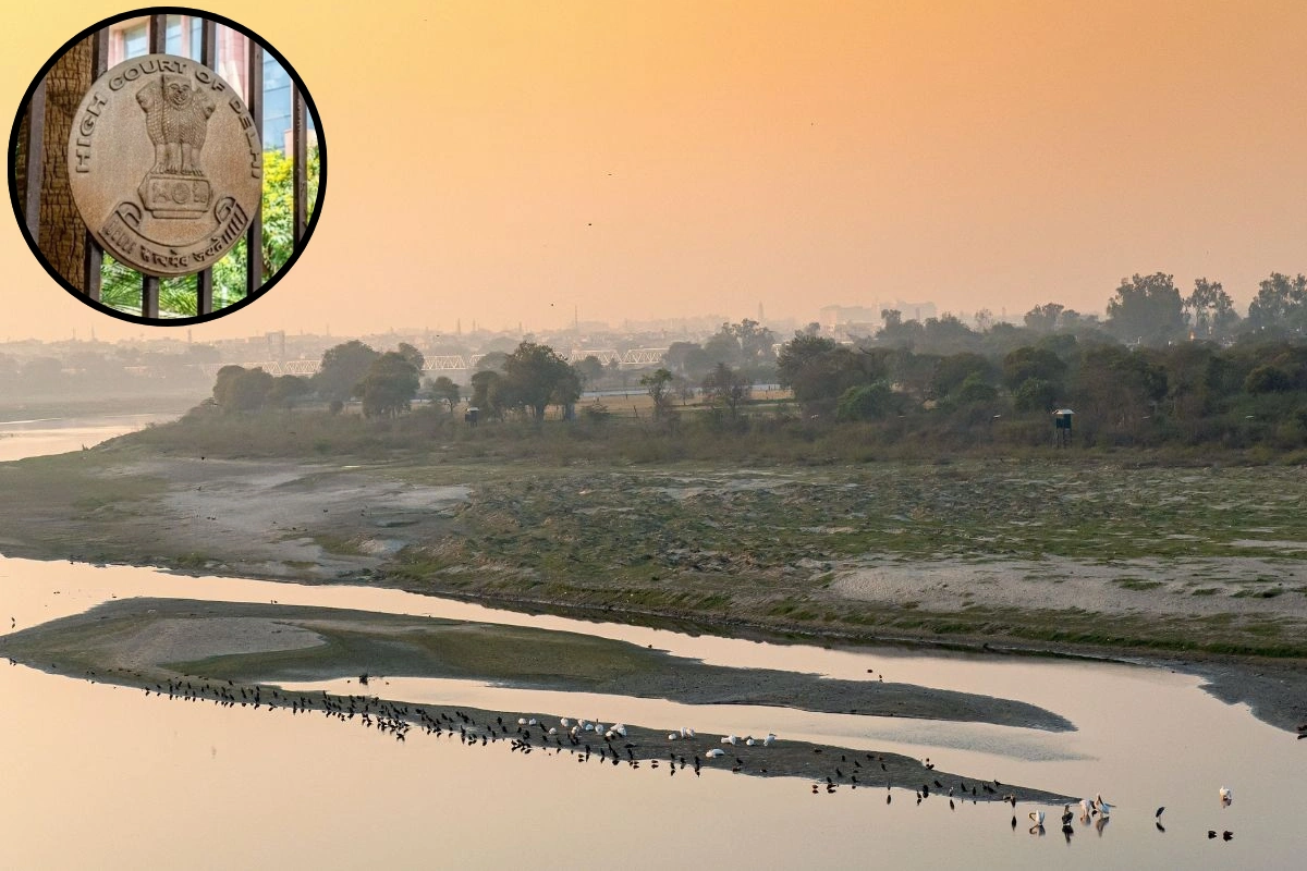 Yamuna Floodplains