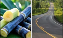 Centre Hikes Sugarcane FRP To ₹355/Quintal; Approves ₹22,864 Crore Shillong-Silchar Highway Project