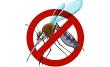 Union Health Minister JP Nadda on Friday marked National Dengue Day by calling for greater public involvement in checking mosquito breeding, maintaining hygiene, and spreading awareness to control the spread of dengue.