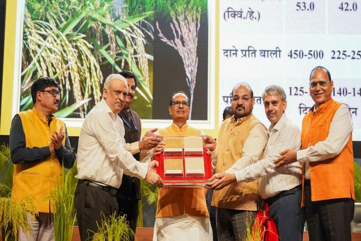 India Unveils World’s First Genome-Edited Rice Varieties