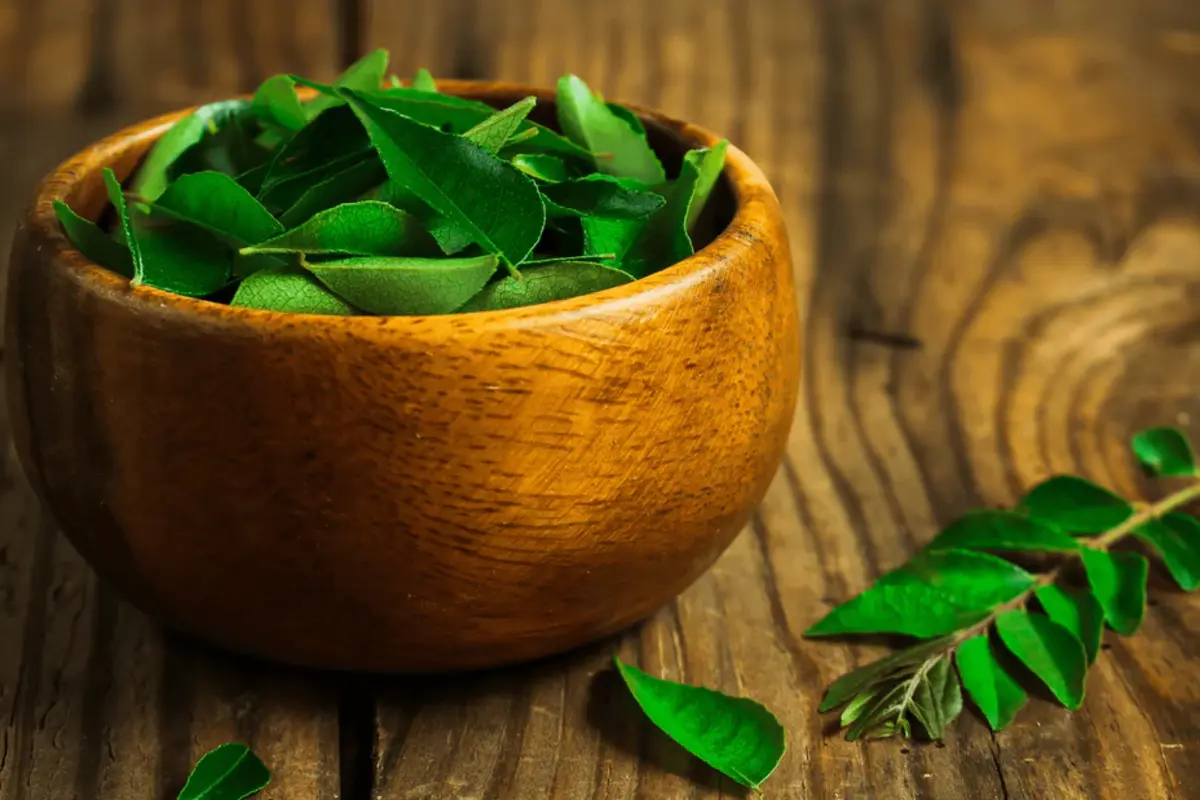 The Health Benefits Of Curry Leaves: A Natural Boost To Wellbeing