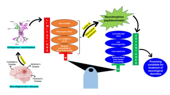 IASST Scientists Discover New Drug Candidates To Combat Neurodegenerative Diseases